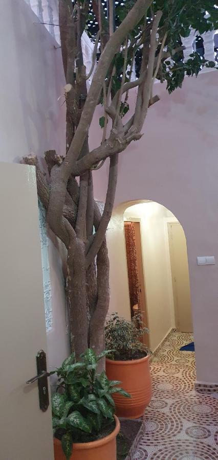 Surf Riad Taghazout Esterno foto