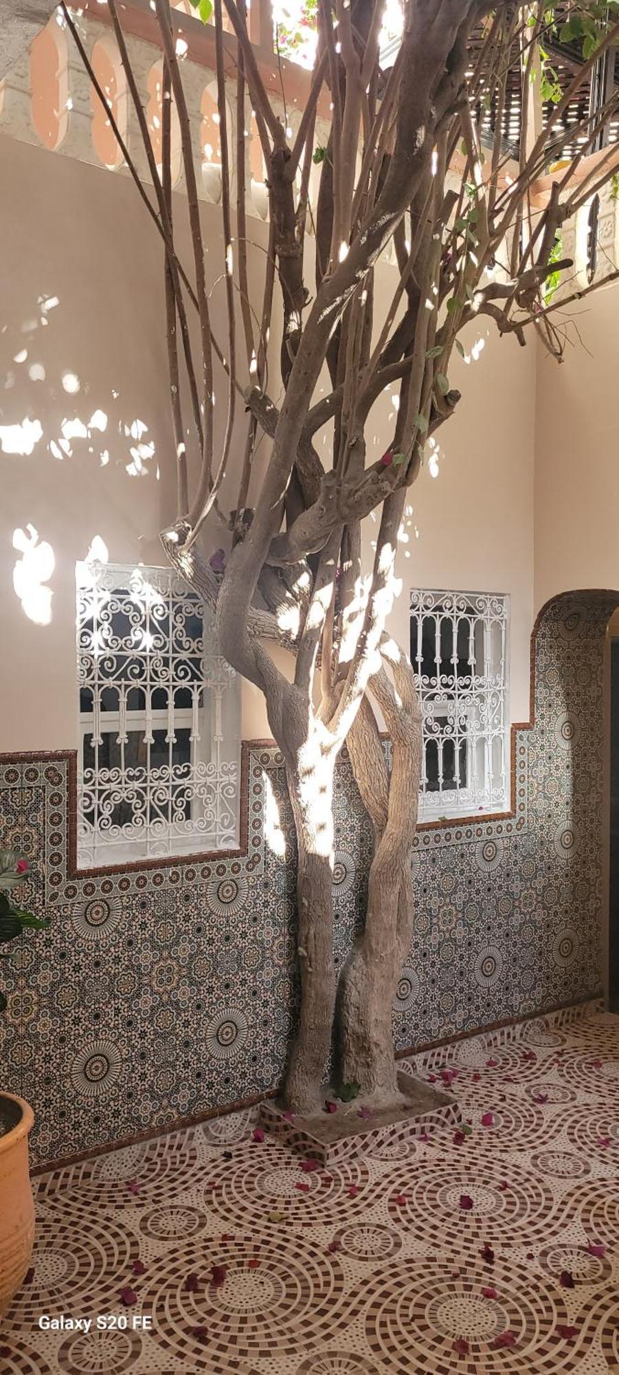 Surf Riad Taghazout Esterno foto